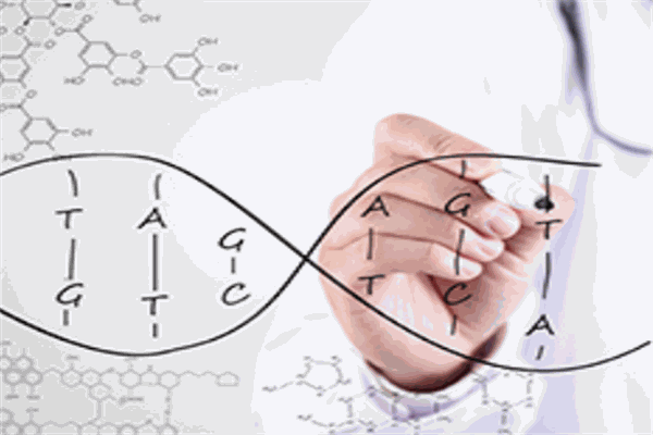 基云惠康基因检测